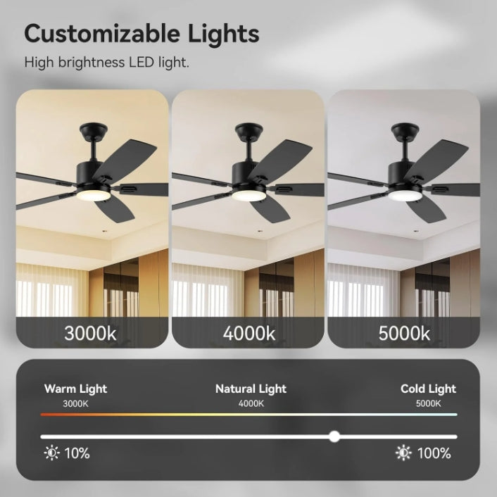 SUNMORY 62" Ceiling Fans with Lights and Remote/APP Control, Low Profile Ceiling Fan with Light, Reversible, Quiet 6 Speeds, Stepless Dimmable, Flush Mount Ceiling Fan for Bedroom Indoor/Outdoor Use 15574311251